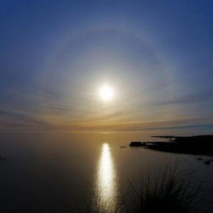 Meet your Posher, Jerry